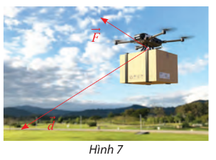 Giải Toán 12 trang 64 Chân trời