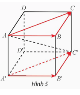 Giải Toán 12 trang 44 Chân trời