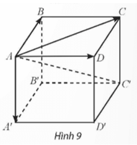 Giải Toán 12 trang 44 Chân trời