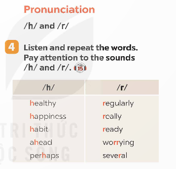Unit 3 lớp 9 A Closer Look 1