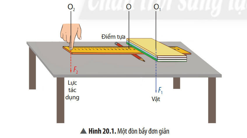 Lý thuyết KHTN 8 Bài 20 (Chân trời sáng tạo): Đòn bẩy (ảnh 1)