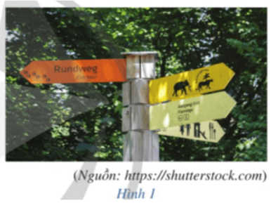 Giải Toán 12 trang 56 Cánh diều