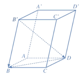 Giải Toán 12 trang 59 Cánh diều