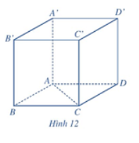 Giải Toán 12 trang 61 Cánh diều