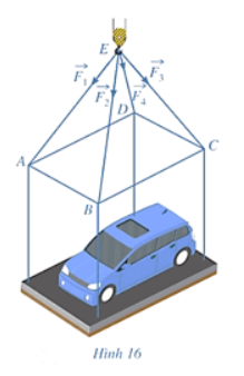 Giải Toán 12 trang 64 Cánh diều
