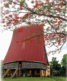 Toán lớp 5 trang 44 Đất nước em