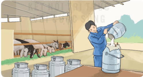 Toán lớp 5 trang 67 Bài 3