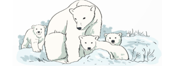 Toán lớp 5 Kết nối tri thức Bài 23