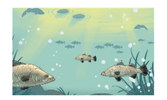 Toán lớp 5 Kết nối tri thức Bài 24