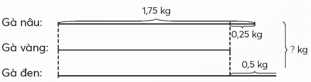 Toán lớp 5 Chân trời sáng tạo Bài 30