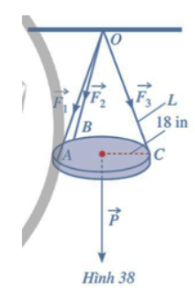 Giải Toán 12 trang 81 Cánh diều
