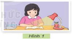 Công nghệ lớp 3 Kết nối tri thức Bài 2