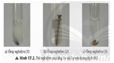 Tiến hành Thí nghiệm 1 và nêu hiện tượng quan sát được Viết phương trình hoá học