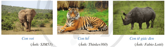 Khởi động trang 28 Toán 9 Tập 1 Cánh diều | Giải Toán 9