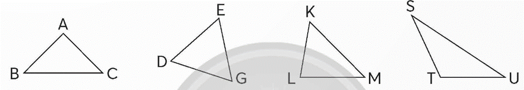 Toán lớp 5 trang 113 Bài 2