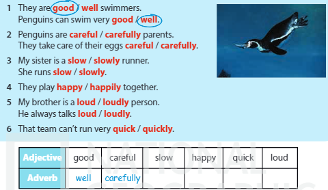 Tiếng Anh 5 Wonderful world Unit 1 lesson 2