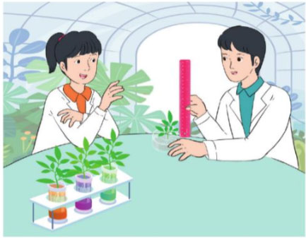 Cộng các số thập phân