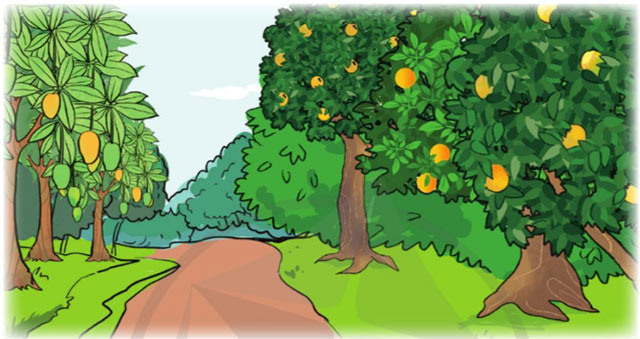 Tìm hai số khi biết hiệu và tỉ của hai số đó