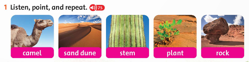 Family and Friends 5 National Edition Fluency Time 2 Lesson 2