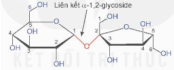Giải Hóa 12 trang 25 Kết nối