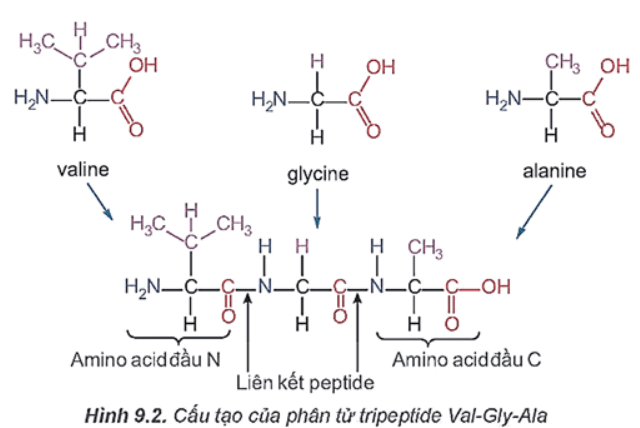 Giải Hóa 12 trang 44 Kết nối