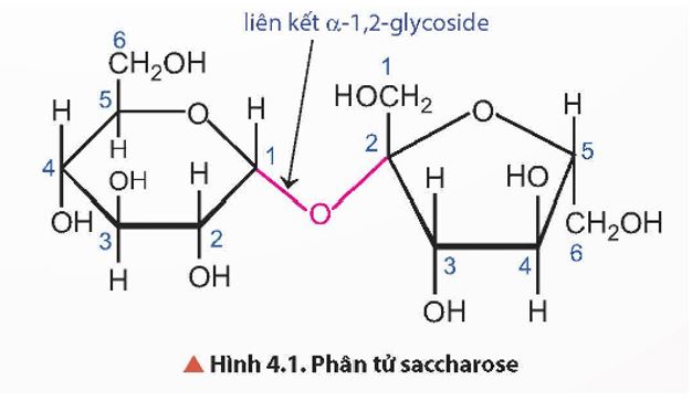 Giải Hóa 12 trang 21 Chân trời