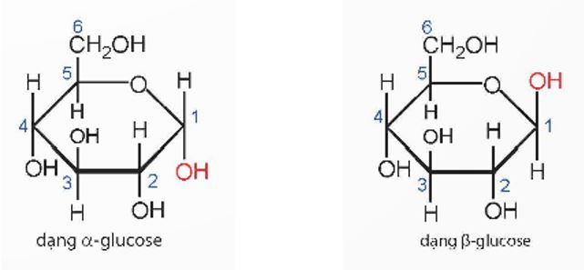Giải Hóa 12 trang 21 Chân trời
