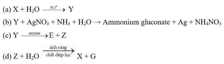 Giải Hóa 12 trang 29 Chân trời