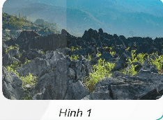 Khoa học lớp 5 trang 5