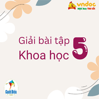 Khoa học lớp 5 Cánh Diều