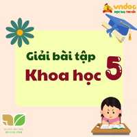 Khoa học lớp 5 Kết nối tri thức Bài 6: Ôn tập chủ đề Chất