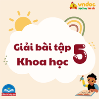 Khoa học lớp 5 Chân trời sáng tạo Bài 5: Ôn tập chủ đề Chất