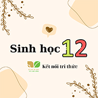 Sinh học 12 Kết nối tri thức
