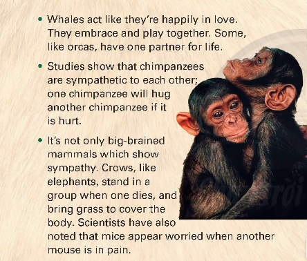 tieng anh 9 unit 4 language focus trang 41 1*605453