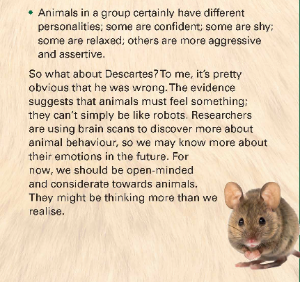 tieng anh 9 unit 4 language focus trang 41 2*605452