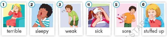 Tiếng Anh lớp 5 unit 5 lesson 2 i-Learn Smart Start