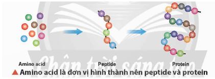 Giải Hóa 12 trang 39 Chân trời