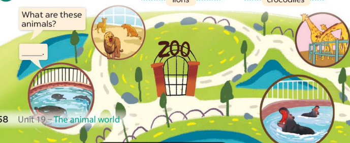 Tiếng Anh lớp 4 unit 19 lesson 1 trang 58 59 Global Success