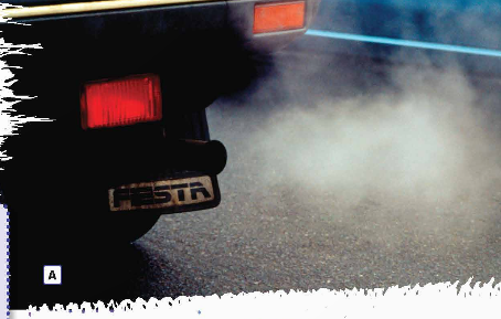 tieng anh 12 friends global unit 2 2f reading 1*607037