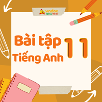 Bài tập Unit 4 lớp 11 ASEAN and Vietnam