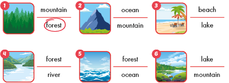 Sách bài tập Tiếng Anh lớp 5 Unit 4 Lesson 1 i-Learn Smart Start