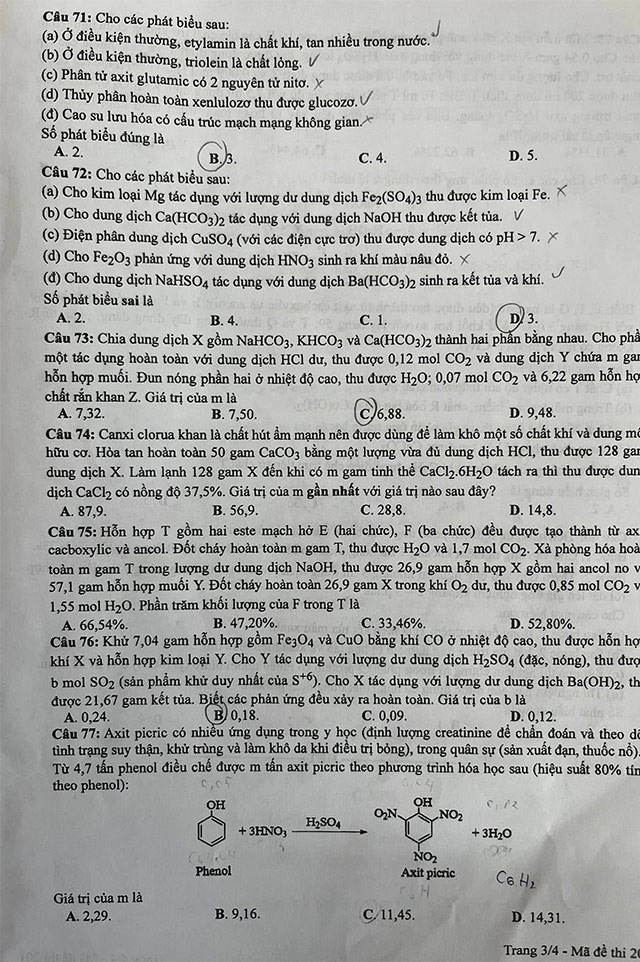 Hoa THPT 2024 3*608442