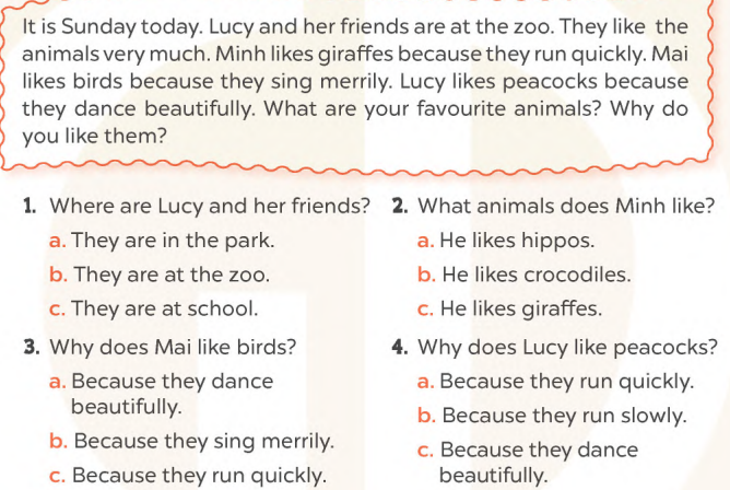 Sách bài tập tiếng Anh lớp 4 unit 19 Global success