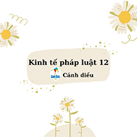 Giáo dục Kinh tế và Pháp luật 12 Cánh diều