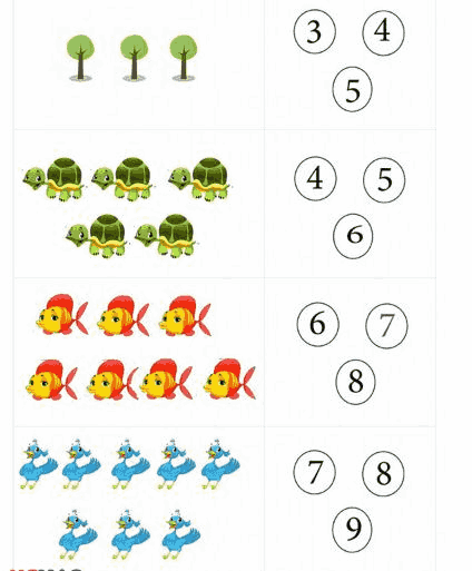 Bài tập khoanh tròn con số đúng, số lớn nhất