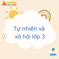 Giải VBT Tự nhiên xã hội 3 Cánh diều bài 3