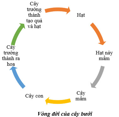 Luyện tập 3