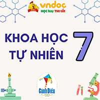 KHTN 7 Cánh diều Bài 28: Cảm ứng ở động vật