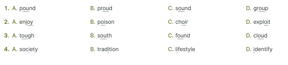 Sách bài tập Tiếng Anh 12 Global Success Unit 2 Pronunciation