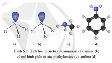 Giải Hóa 12 trang 36 Cánh diều